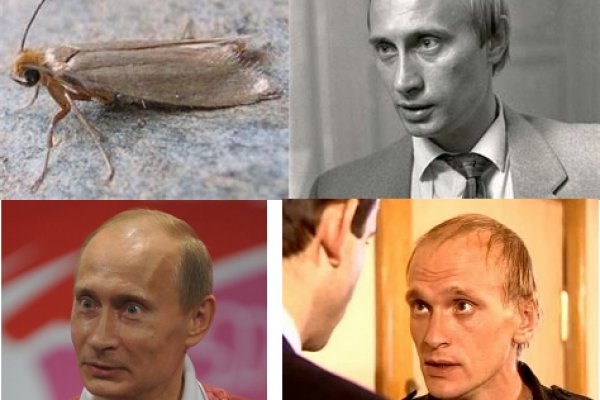 Не могу зайти на сайт кракен