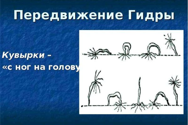 Что такое кракен магазин