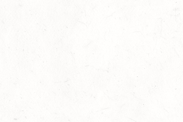 Kraken tor marketplace