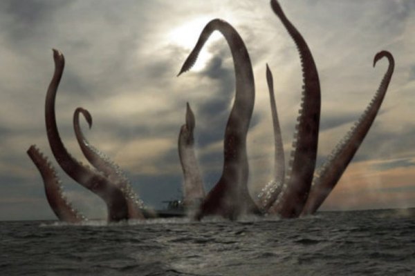 Kraken 21at