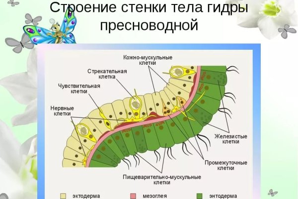 Кракен ссылка