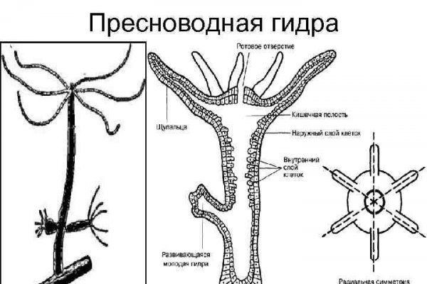 Кракен ссылка gigageek ru