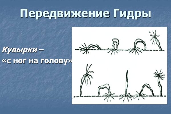 Даркнет каталог