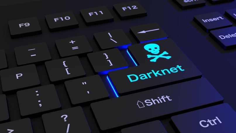 Kraken kraken dark link